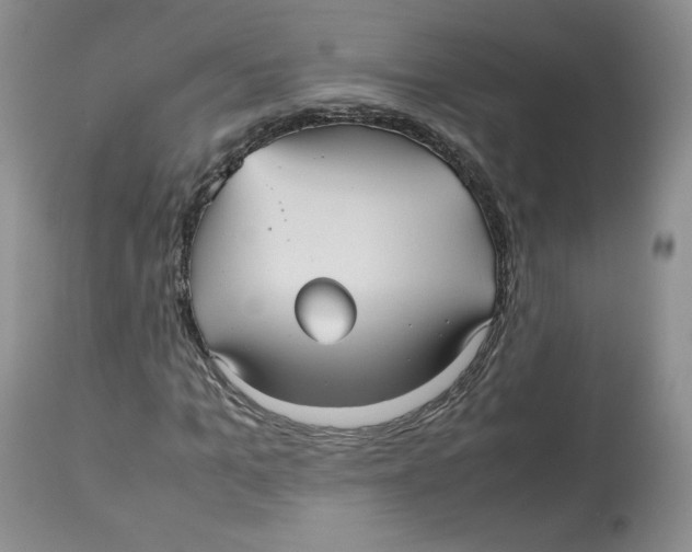 X0000112510965200909141156