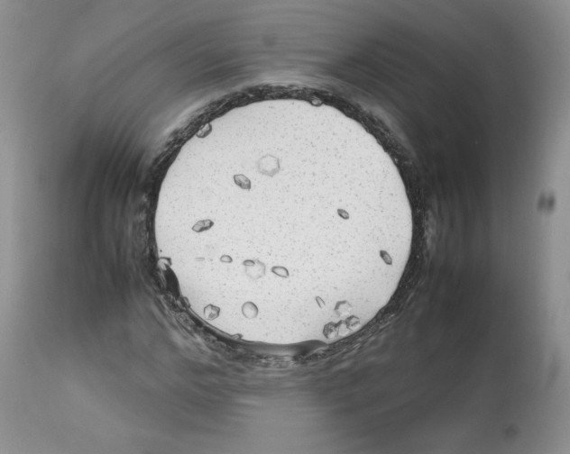 X0000112510968200909141156