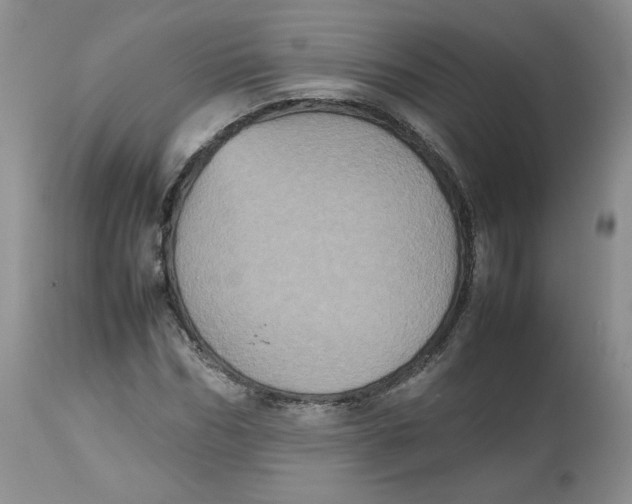 X0000112510970200909141156