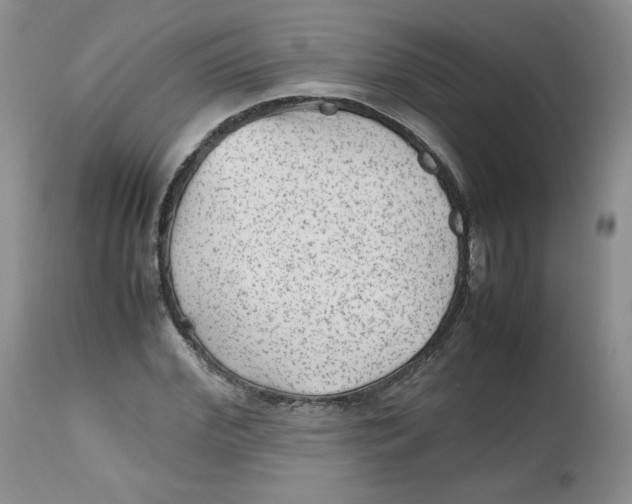 X0000112510972200909141156