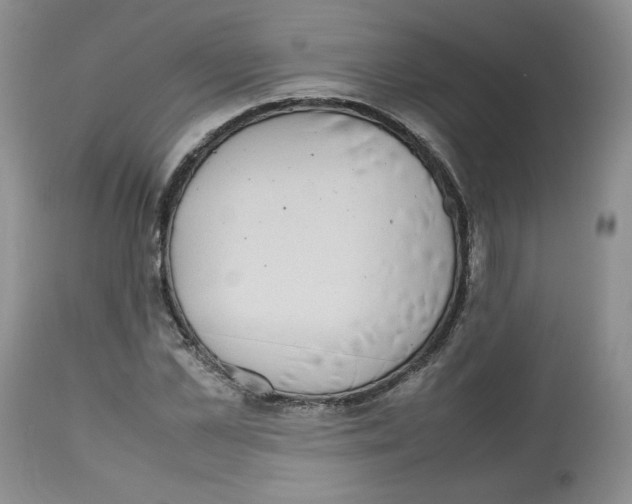 X0000112510973200909141156