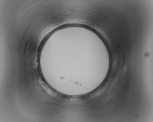 X0000112510974200909141156