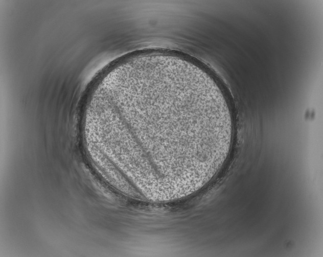 X0000112510975200909141156