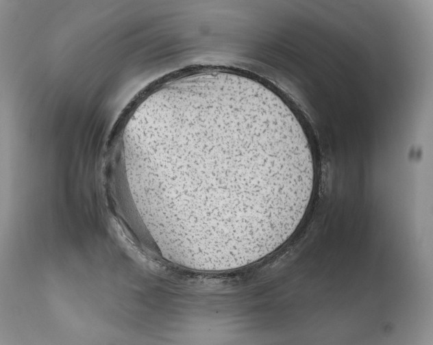 X0000112510976200909141156