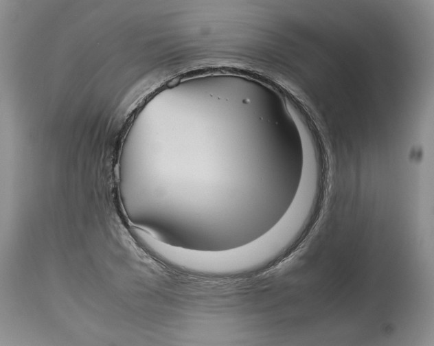 X0000112510977200909141156