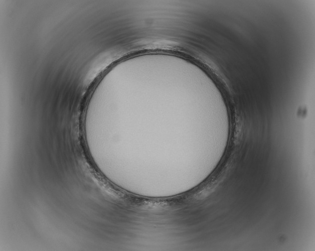 X0000112510978200909141156