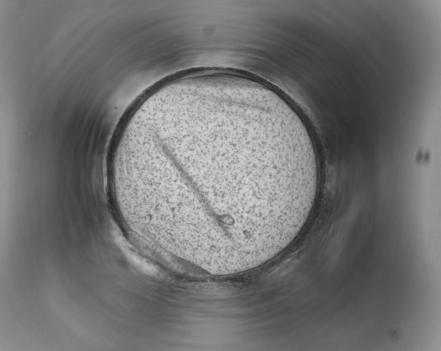 X0000112510980200909141156