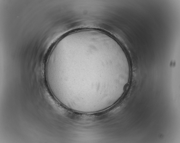 X0000112510981200909141156