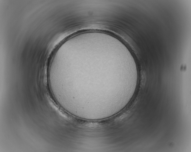 X0000112510982200909141156