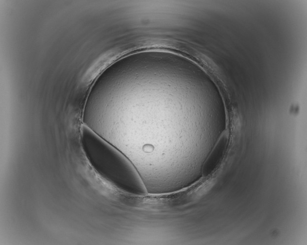 X0000112510985200909141155