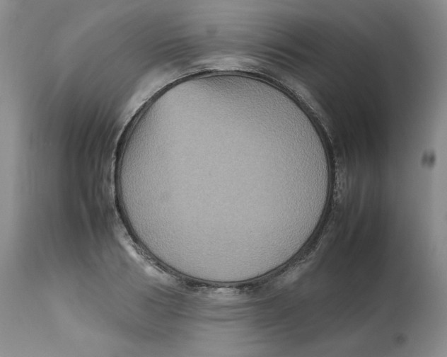 X0000112510986200909141155