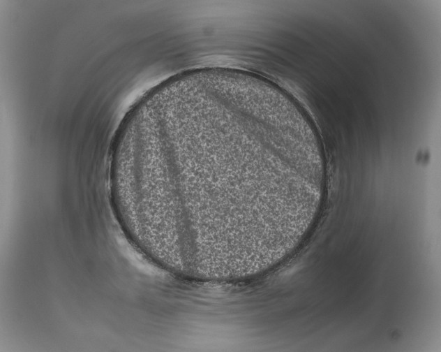 X0000112510987200909141155