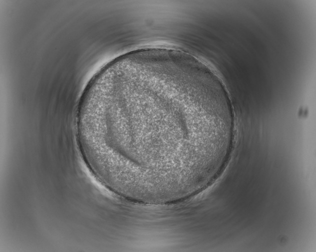 X0000112510989200909141155