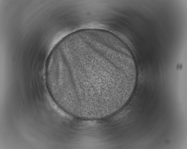 X0000112510990200909141155