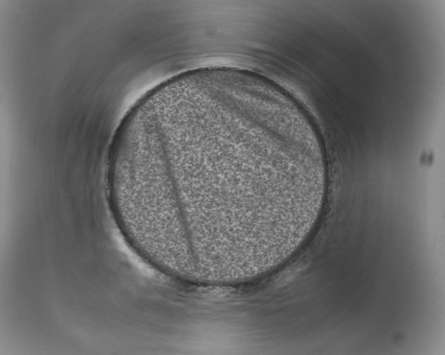 X0000112510991200909141155