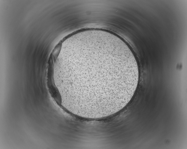 X0000112510992200909141155