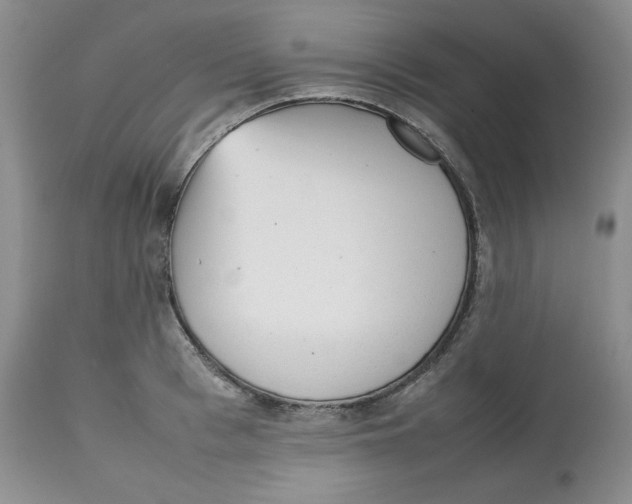 X0000112510993200909141155