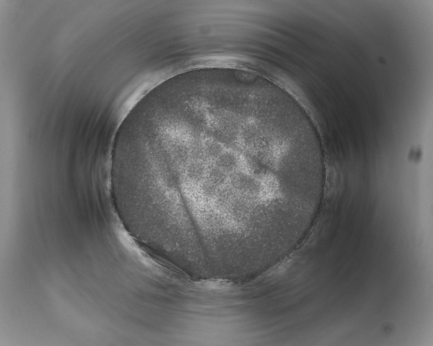 X0000112510994200909141155