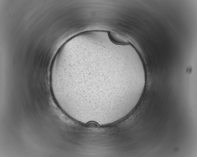 X0000112510996200909141155