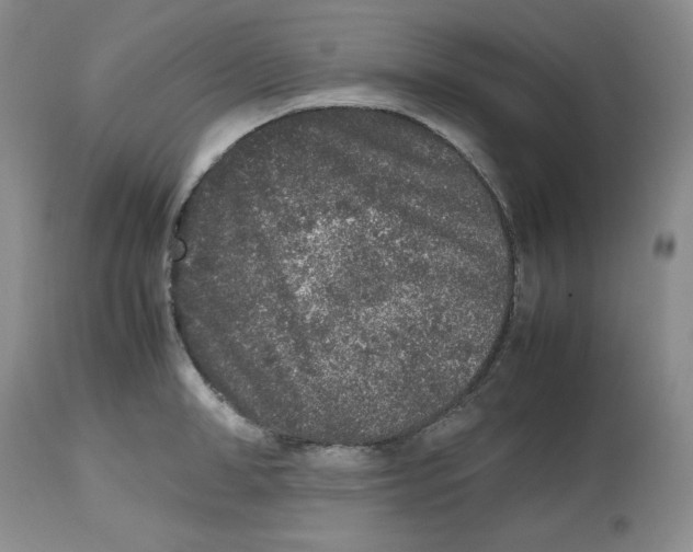 X0000112510998200909141155