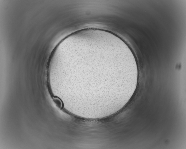 X0000112510999200909141155