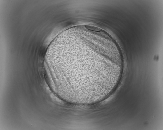 X0000112511001200909141155