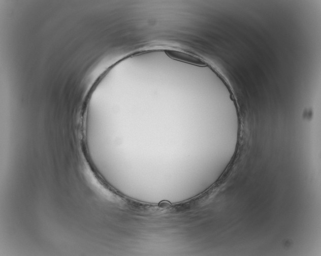 X0000112511003200909141155