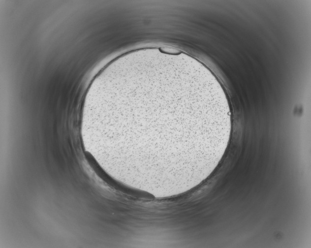 X0000112511004200909141155