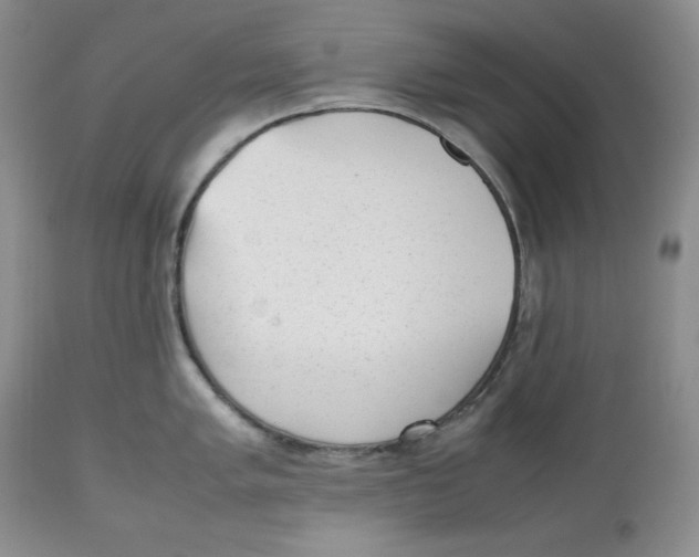 X0000112511005200909141155