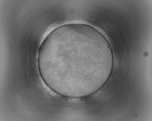 X0000112511006200909141155