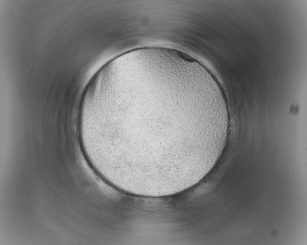 X0000112511007200909141155