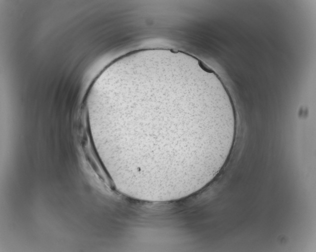 X0000112511008200909141155