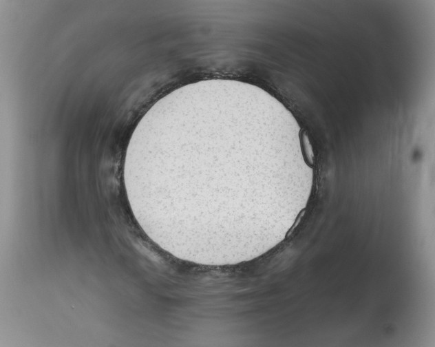 X0000112511010200909141155