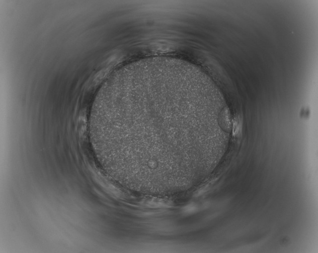 X0000112511011200909141155