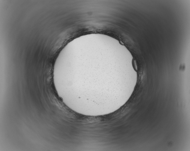 X0000112511012200909141155