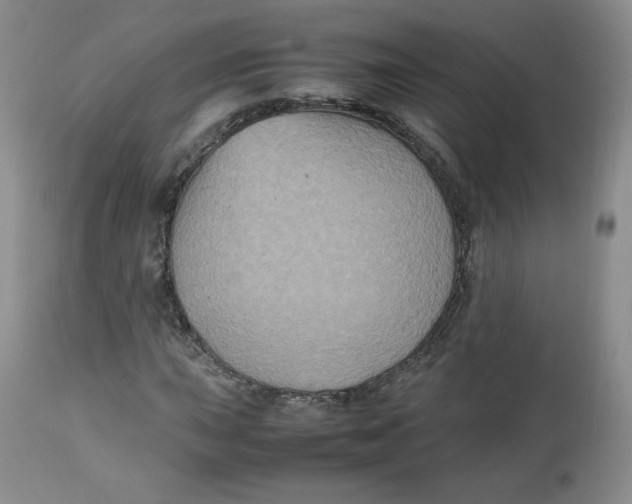 X0000112511015200909141155