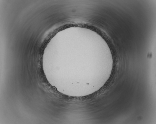 X0000112511016200909141155