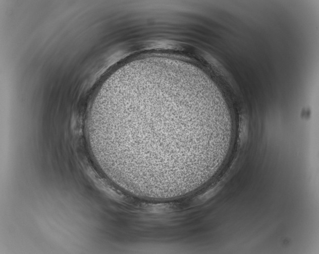 X0000112511017200909141155