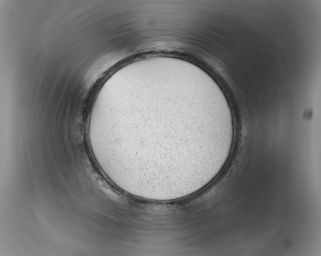 X0000112511018200909141155