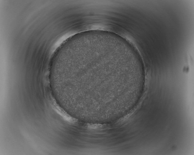 X0000112511019200909141155