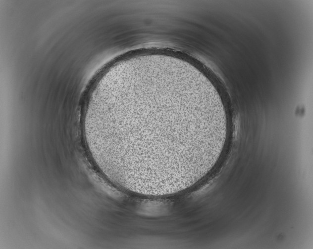 X0000112511021200909141155