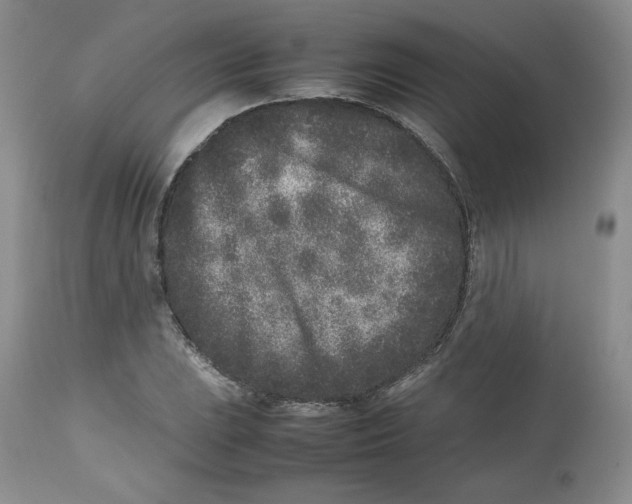 X0000112511023200909141155