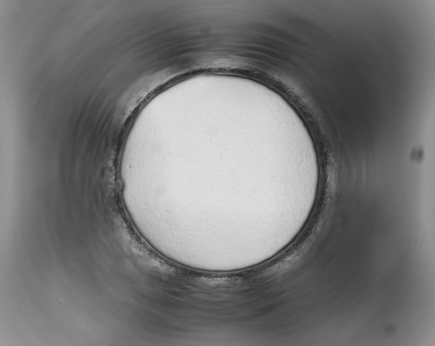 X0000112511025200909141155