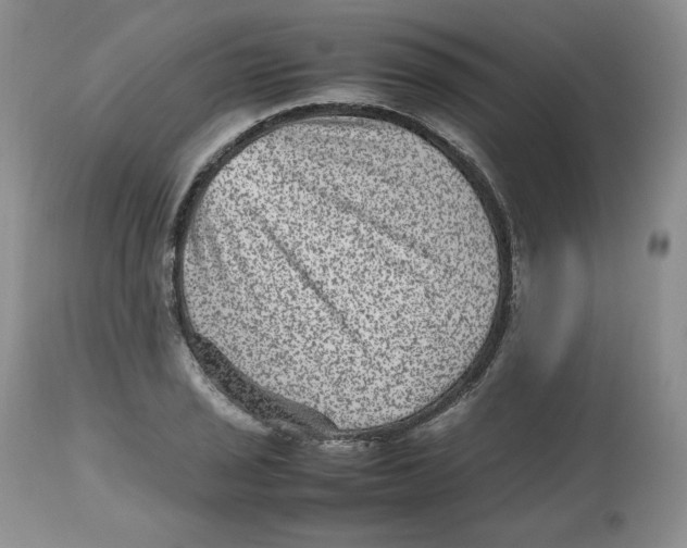 X0000112511029200909141155