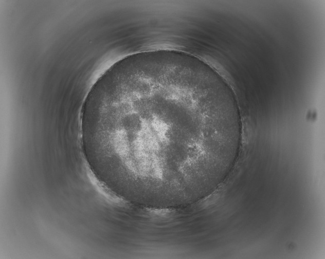 X0000112511031200909141155