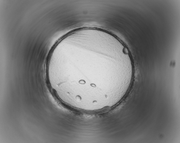 X0000112511032200909141155