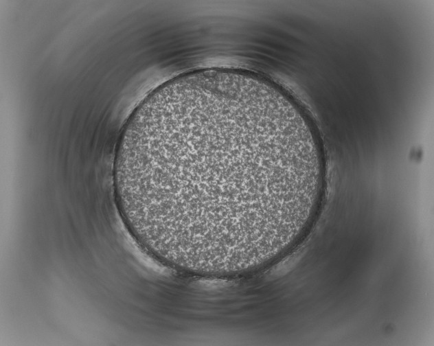 X0000112511033200909141155