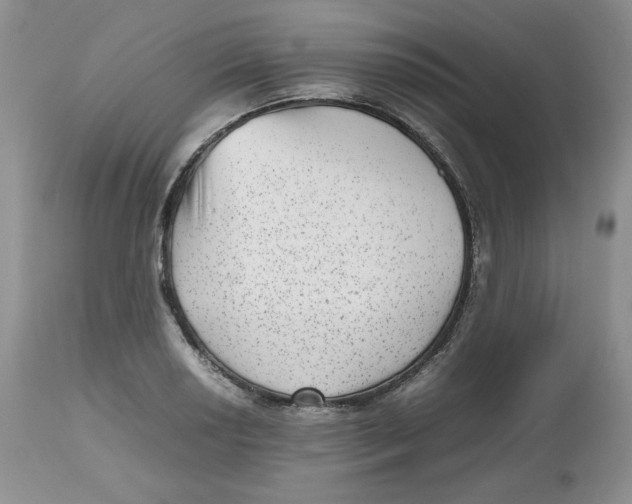 X0000112511034200909141155