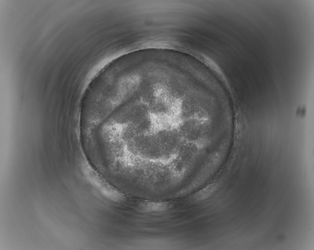 X0000112511035200909141155