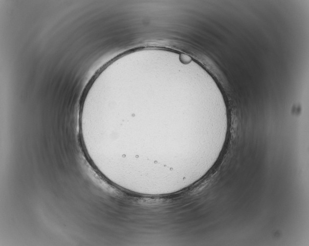 X0000112511036200909141155